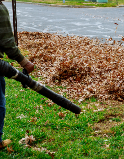 lawn care, Lawn Care & Hardscaping in Massachusetts