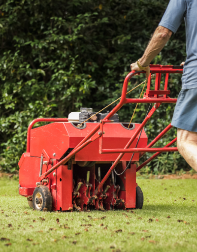 lawn care, Lawn Care & Hardscaping in Massachusetts