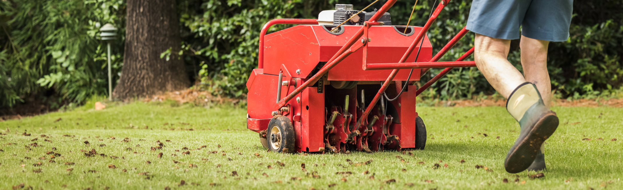lawn care