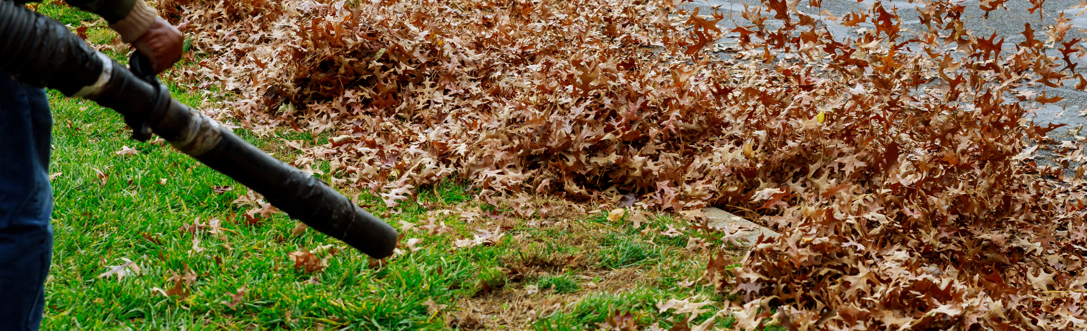 lawn care