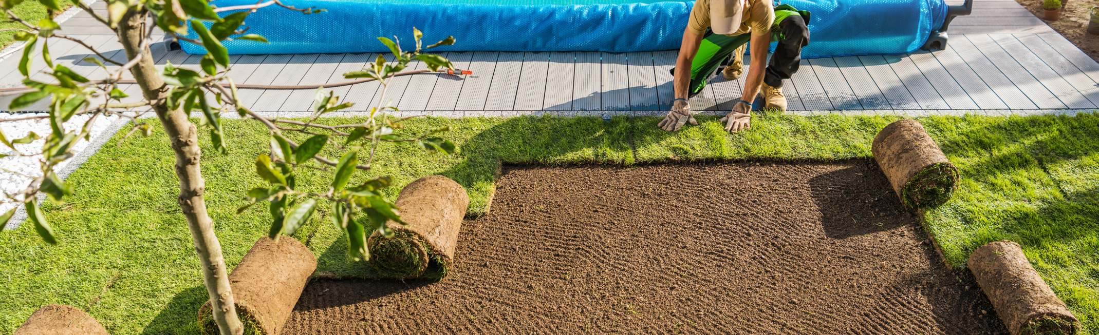 lawn care