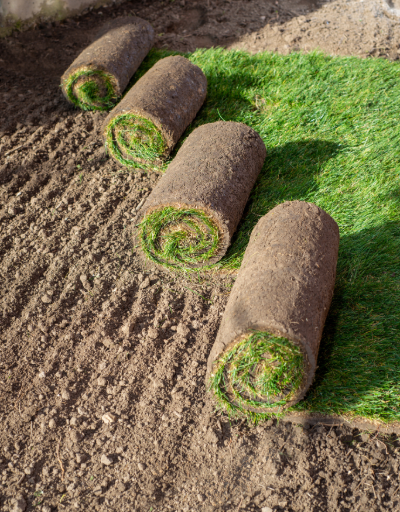 lawn care, Lawn Care & Hardscaping in Massachusetts